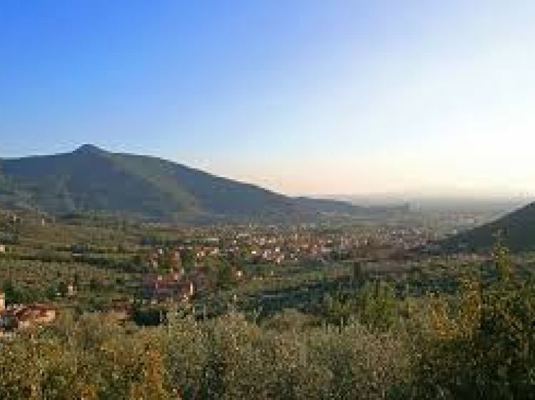 Villa in vendita, Località sopra le Vigne  Calci, MonteMagno, Calci