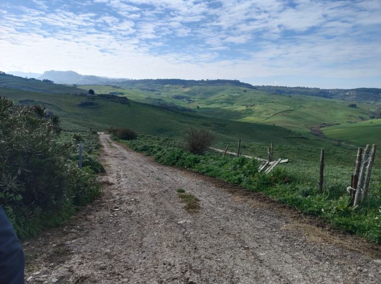 Terreno agricolo in vendita, Contrade Carminello e Catena, Calascibetta