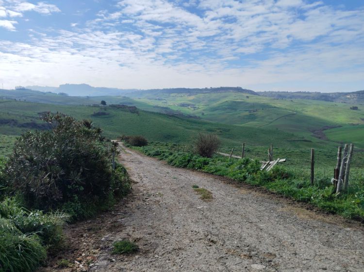 Terreno agricolo in vendita, Contrade Carminello e Catena, Calascibetta