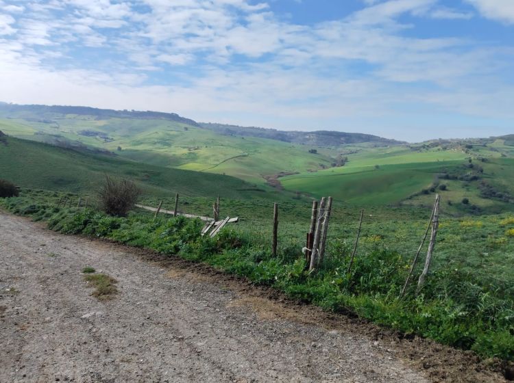 Terreno agricolo in vendita, Contrade Carminello e Catena, Calascibetta