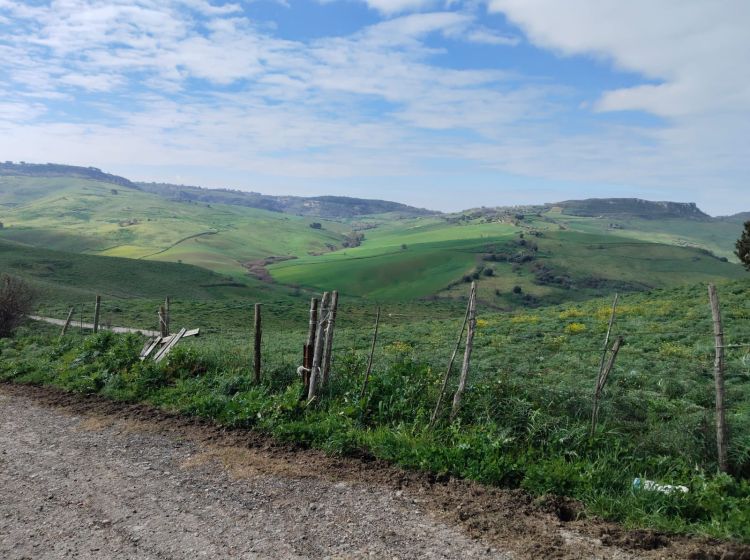 Terreno agricolo in vendita, Contrade Carminello e Catena, Calascibetta
