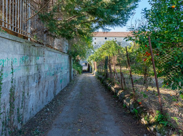 Terreno agricolo in vendita, Piazza Giovan Battista Ferraioli  5, Sant&#039;egidio Del Monte Albino