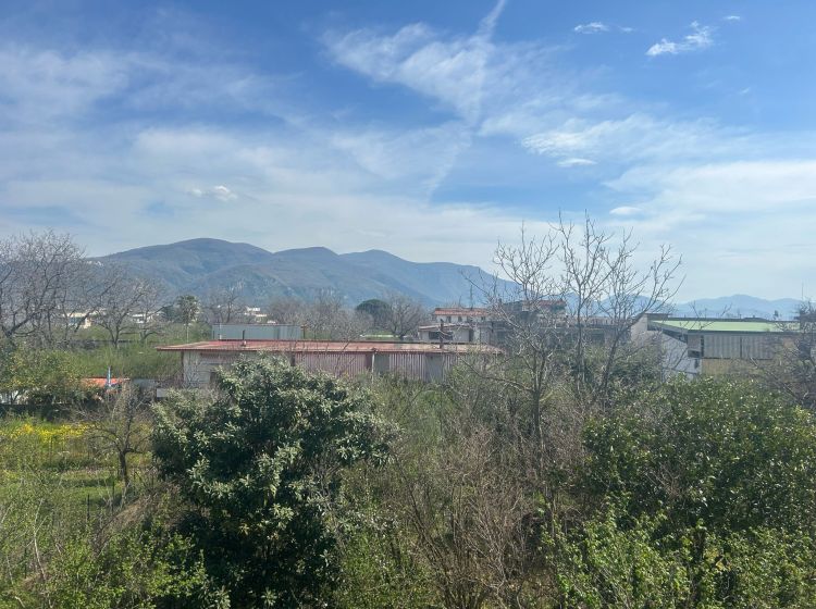 Quadrilocale in affitto, viale Delle Palme, Ottaviano