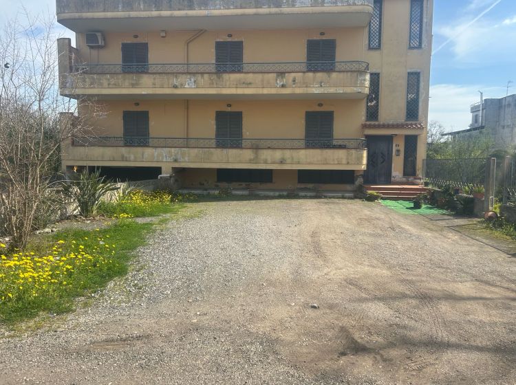 Quadrilocale in affitto, viale Delle Palme, Ottaviano