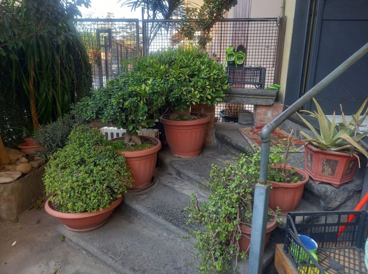 Attico in vendita, via G. Matteotti  66, San Marzano Sul Sarno