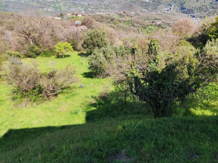 Terreno agricolo in vendita, via S. Elena  36, Trecchina