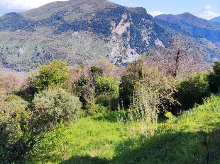 Terreno agricolo in vendita, via S. Elena  36, Trecchina