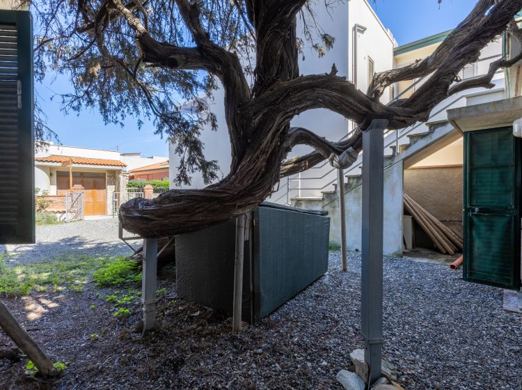 Villa in vendita, viale della Vittoria  28/A, Cecina Mare, Cecina