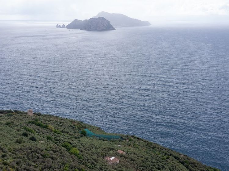 Terreno agricolo in vendita, Punta Campanella  Massa Lubrense  NA  Italia, Massa Lubrense