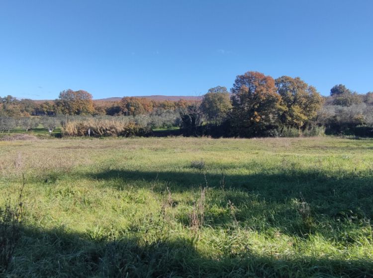 Terreno residenziale in vendita, Strada delle Carcarelle  31, Giardino, Vetralla
