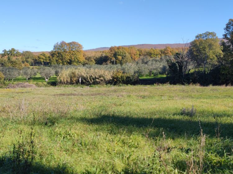 Terreno residenziale in vendita, Strada delle Carcarelle  31, Giardino, Vetralla