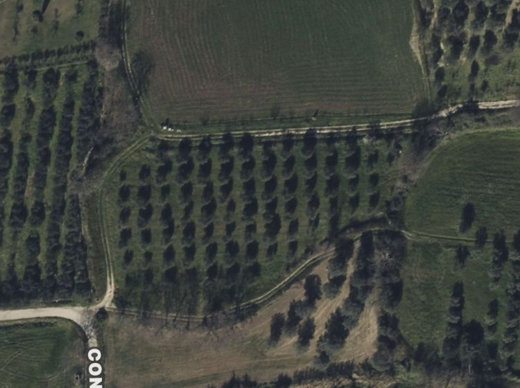Terreno agricolo in vendita, Contrada Santa Lucia, Cerrelli, Altavilla Silentina