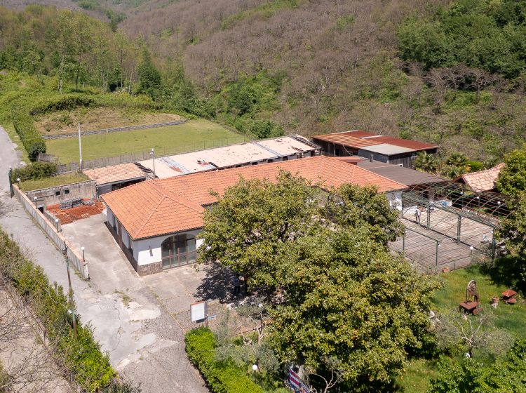 Podere o tenuta in vendita, via Senite, Centro, Scala