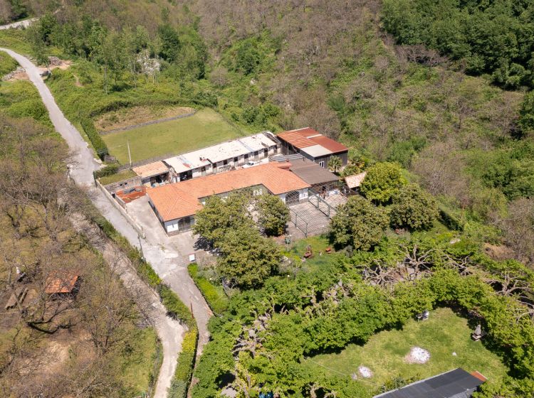 Podere o tenuta in vendita, via Senite, Pontone, Scala