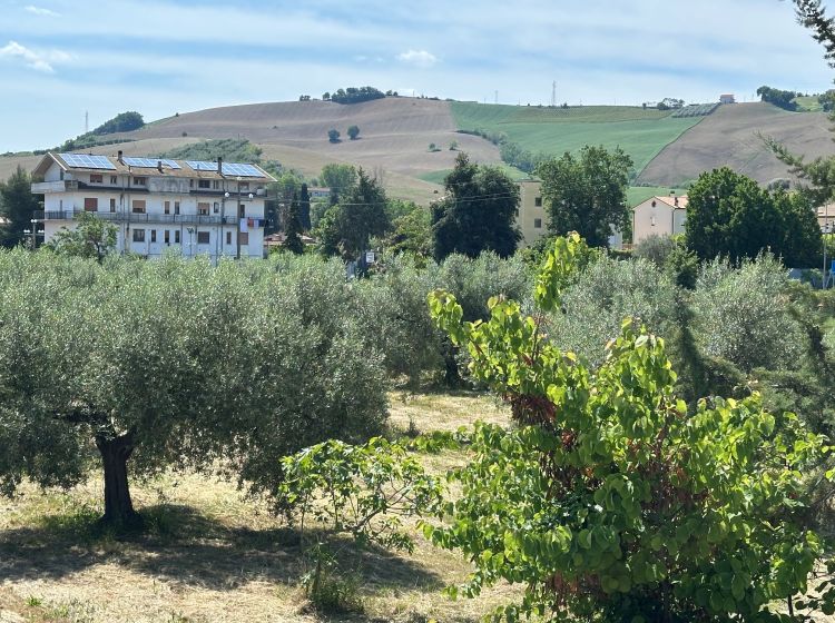 Terreno industriale o artigianale in vendita, via Delle Masserie, Castiglione Messer Raimondo