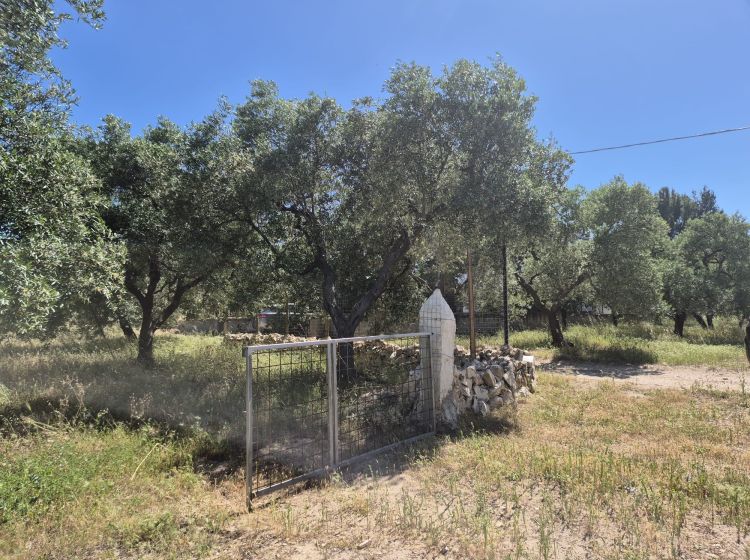 Trullo in vendita, viale Pandolfelli, Andria
