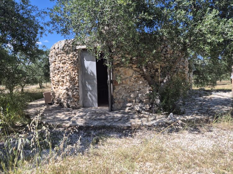 Trullo in vendita, viale Pandolfelli, Andria