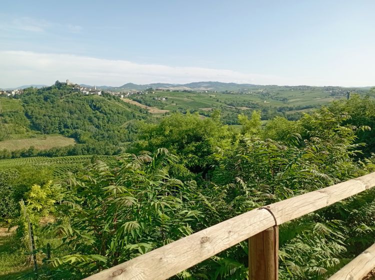 Terreno agricolo in vendita, Frazione Camporello 7/8, San Damiano Al Colle