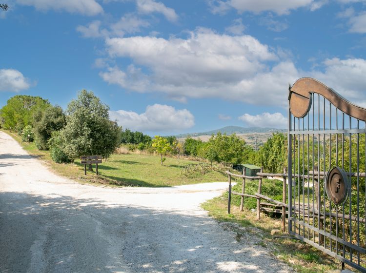 Attività / Licenza in vendita, via Pian Braccone  8, Castelnuovo Di Porto