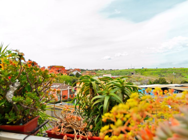 Trilocale in vendita, via Giorgio Bo  35, Aurelio, Roma