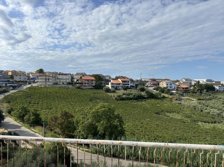 Capannone in vendita, via Pedine, Tollo