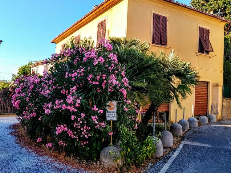 Terratetto unifamiliare in vendita, via Palestro  19, Collesalvetti