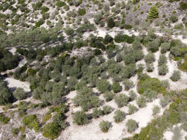 Terreno agricolo in vendita, Loc Santa Barbara, Sorso