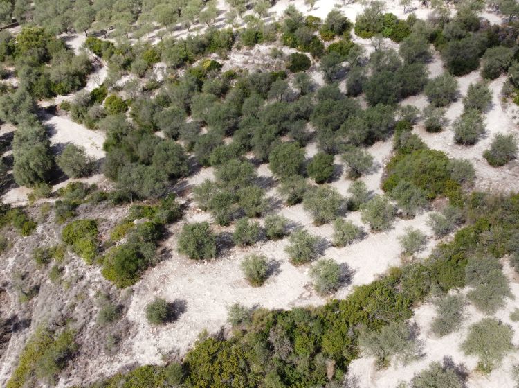 Terreno agricolo in vendita, Loc Santa Barbara, Sorso