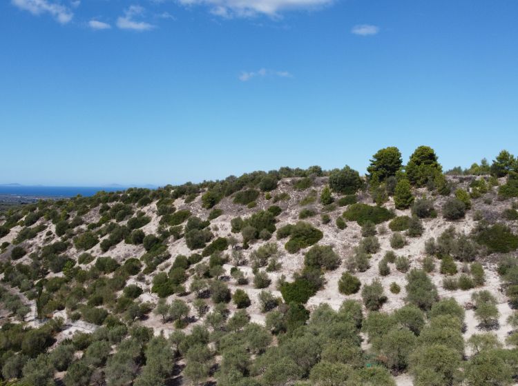 Terreno agricolo in vendita, Loc Santa Barbara, Sorso