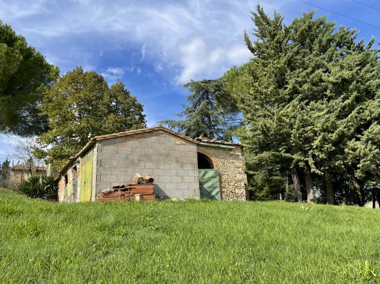 Cascina in vendita, podere santo ottaviano 74, Pomarance