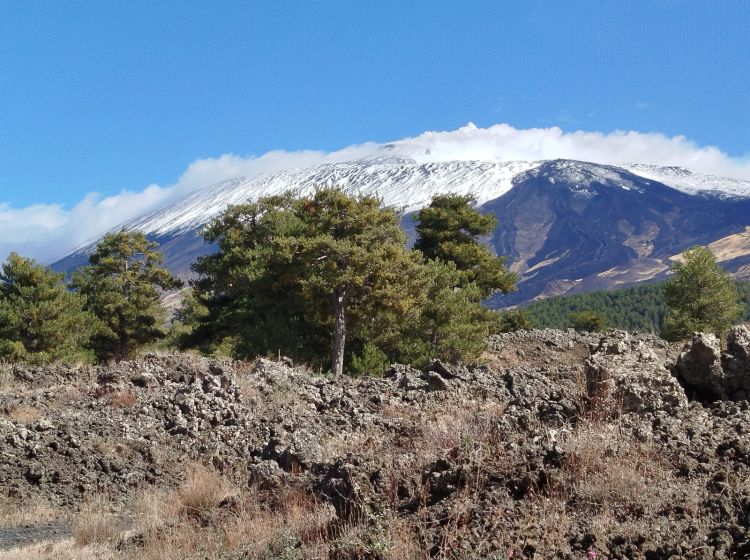 Terreno agricolo in vendita, Strada Milia, Biancavilla