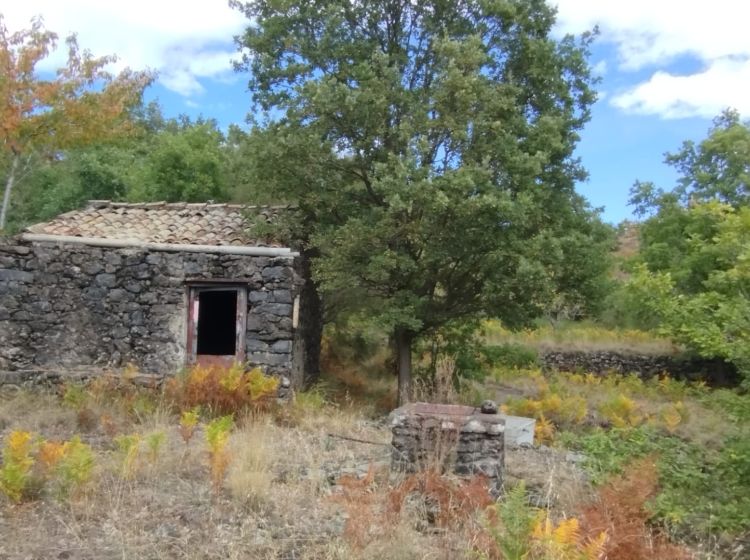 Terreno agricolo in vendita, Strada Milia, Biancavilla