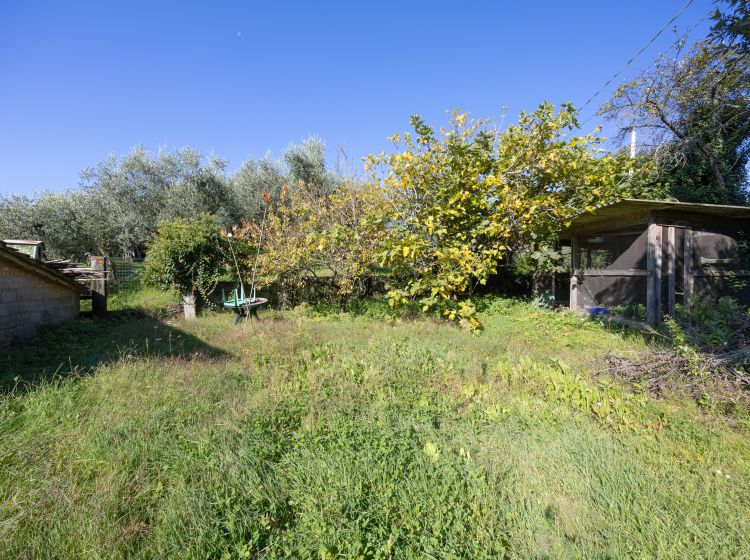 Terratetto unifamiliare in vendita, via di Montigiano 126, Montigiano, Massarosa