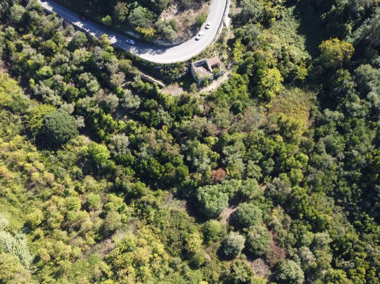 Terreno agricolo in vendita, Strada Vicinale Logulentu Badde Tolta, Sassari, Sassari