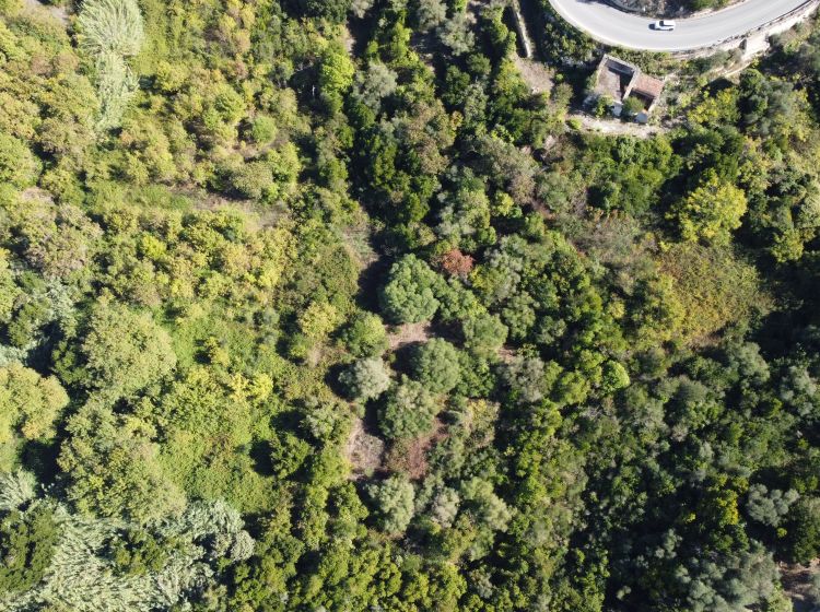Terreno agricolo in vendita, Strada Vicinale Logulentu Badde Tolta, Sassari, Sassari