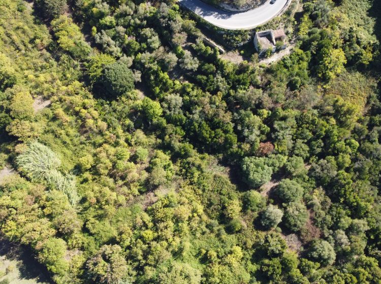 Terreno agricolo in vendita, Strada Vicinale Logulentu Badde Tolta, Sassari, Sassari