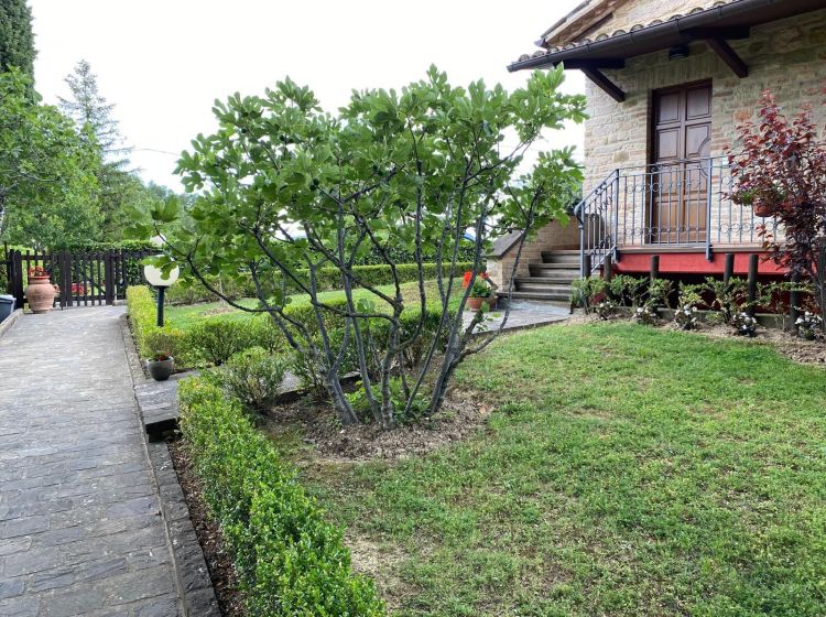 Rustico in vendita, via Colombara, Buonconsiglio, Frontone