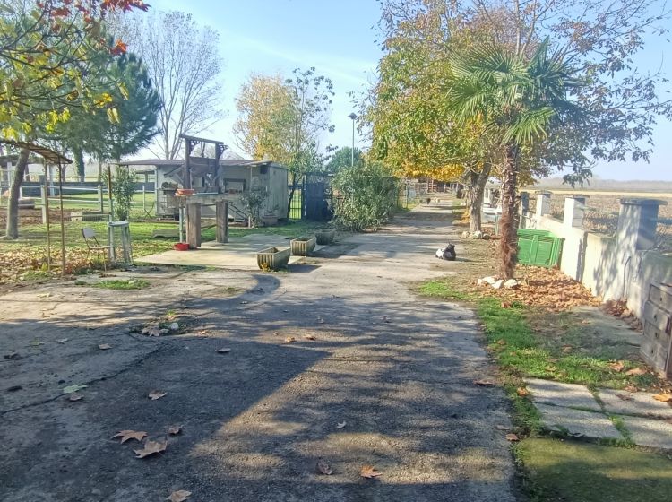 Terreno agricolo in vendita, via Campanella, Suardi
