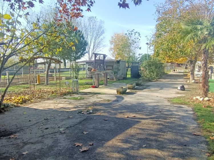 Terreno agricolo in vendita, via Campanella, Suardi