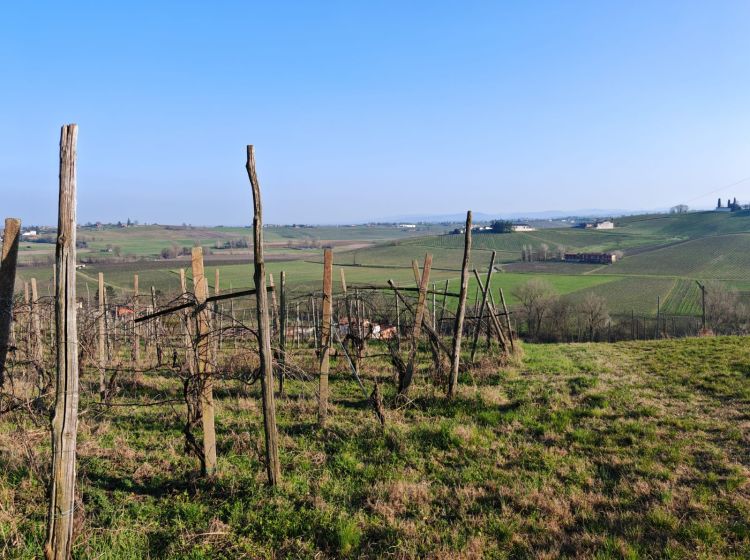 Cascina in vendita, FRAZIONE CAMPORELLO 5, San Damiano Al Colle