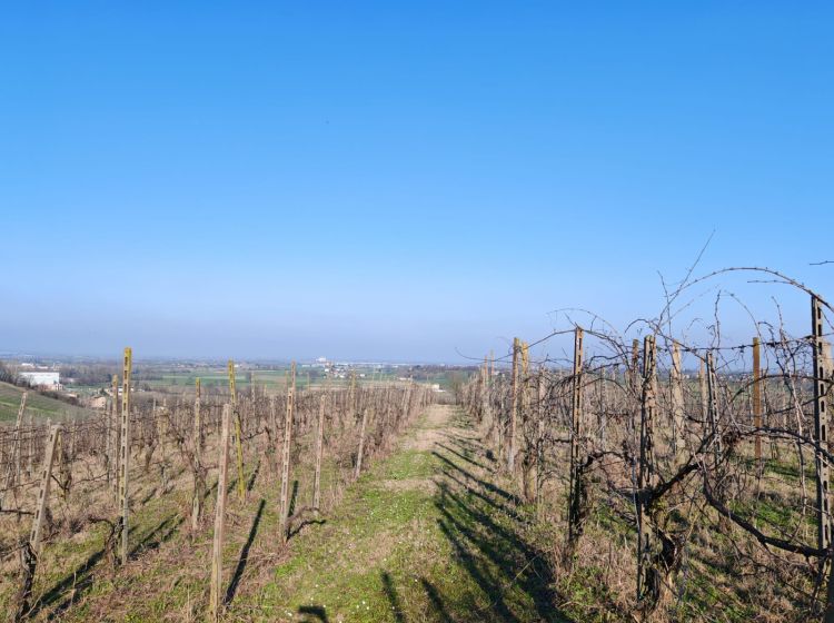 Cascina in vendita, FRAZIONE CAMPORELLO 5, San Damiano Al Colle