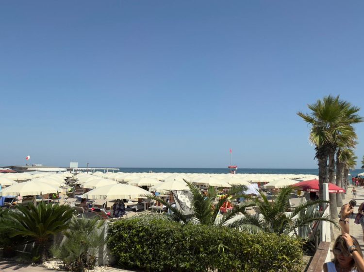 Attività / Licenza in vendita, Lungomare Adriatico, Sottomarina, Chioggia