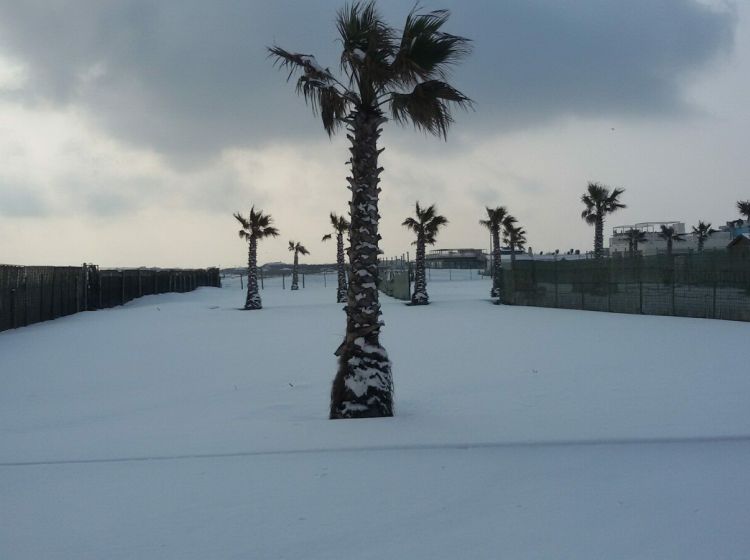 Attività / Licenza in vendita, Lungomare Adriatico, Sottomarina, Chioggia