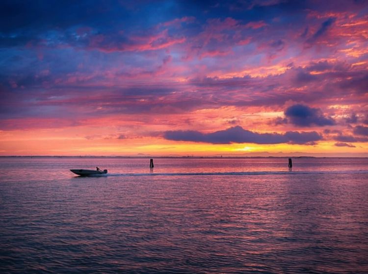 Attività / Licenza in vendita, Lungomare Adriatico, Sottomarina, Chioggia