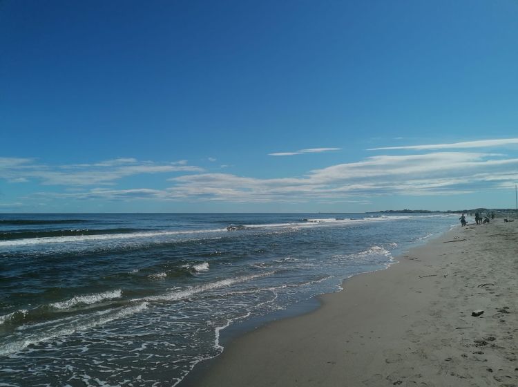 Attività / Licenza in vendita, Lungomare Adriatico, Sottomarina, Chioggia