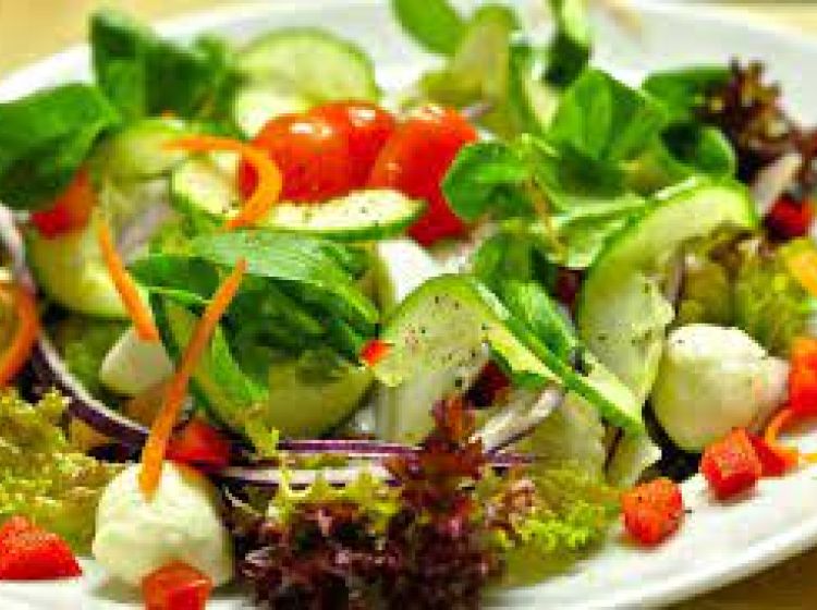 Attività / Licenza in vendita, Rovigo