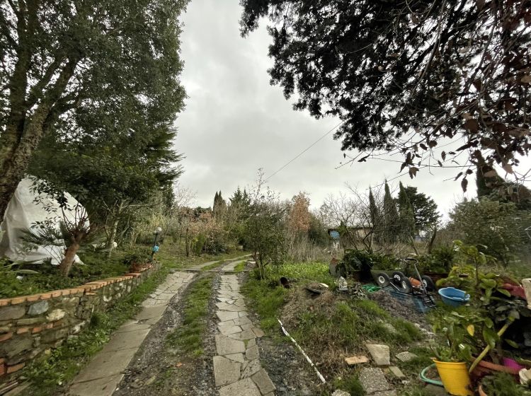 Terratetto unifamiliare in vendita, via del Commercio  53A, Castellina Marittima