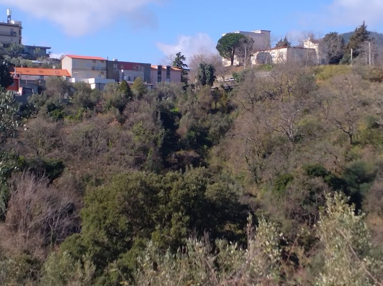 Terreno agricolo in vendita, via Ettore Vitale, Pontegrande, Catanzaro