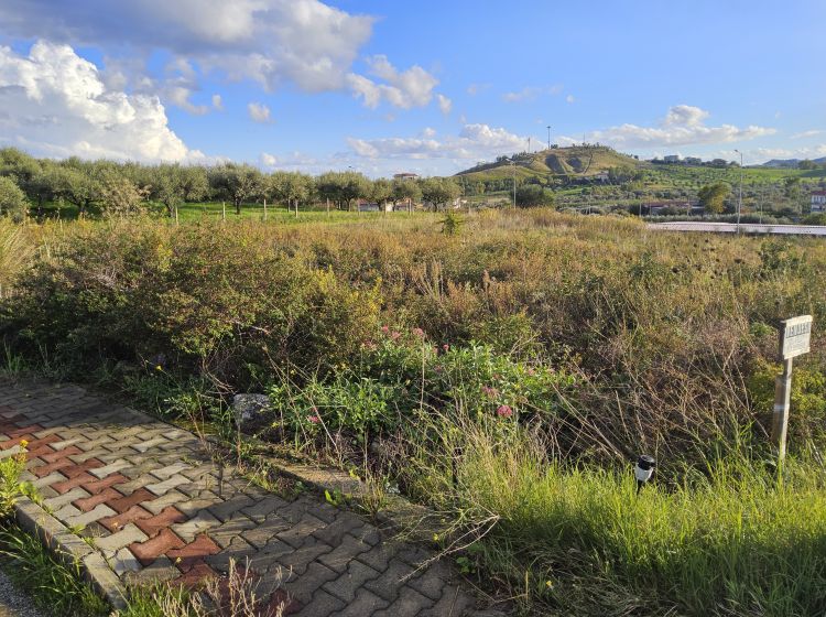 Terreno residenziale in vendita, Località Secula Barrena, Badolato Marina, Badolato