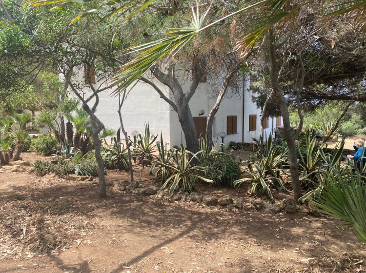 Trilocale in vendita, CONTRADA TRADIMENTO SNC, Sciacca